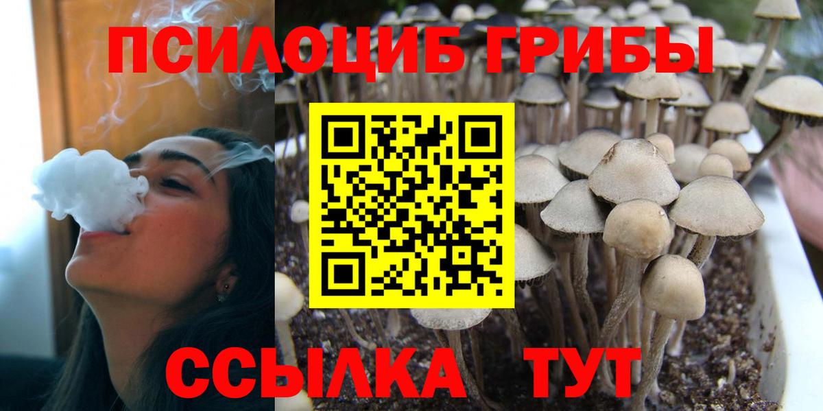 Псилоцибиновые грибы ЛСД Кондопога