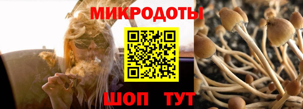 Псилоцибиновые грибы ЛСД  Вход с VPN  Галлюциногенные грибы ЛСД  Кондопога 